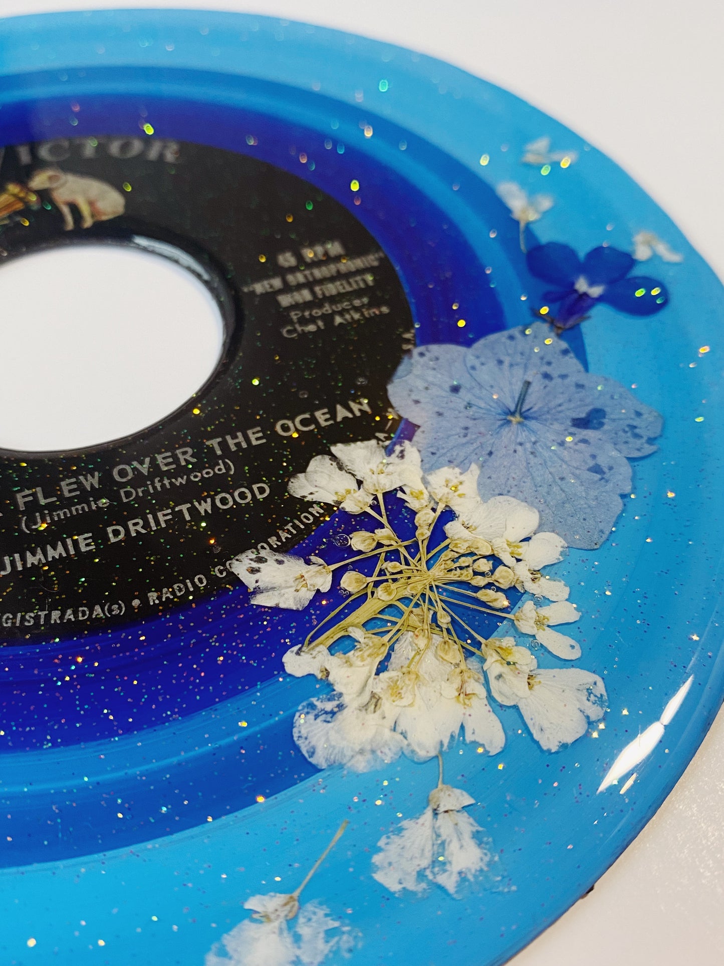 the bear flew over the ocean