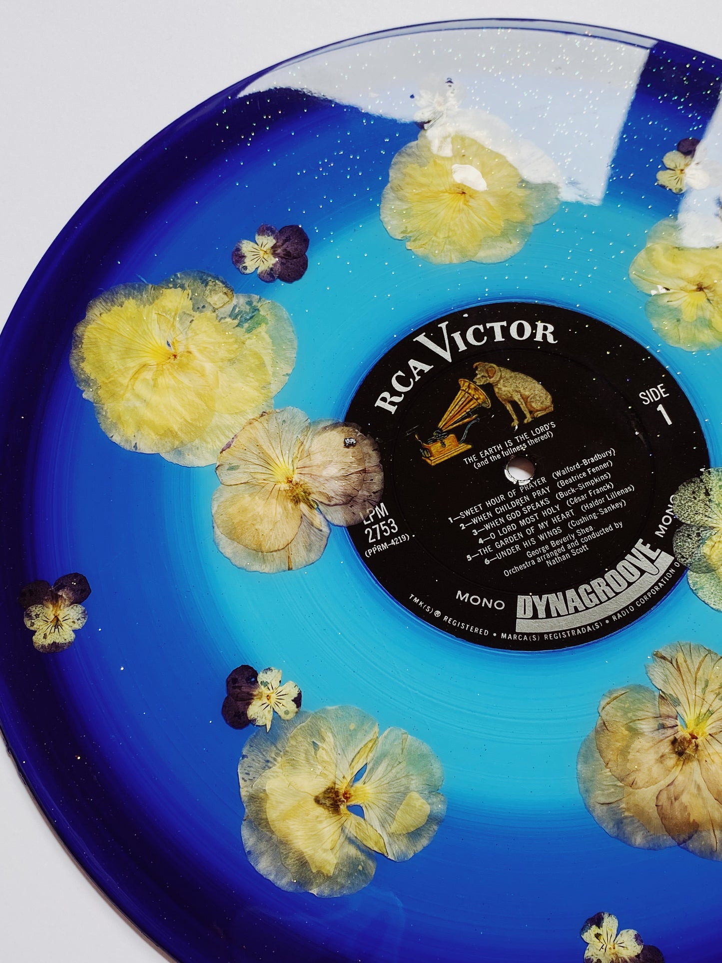 the garden of my heart