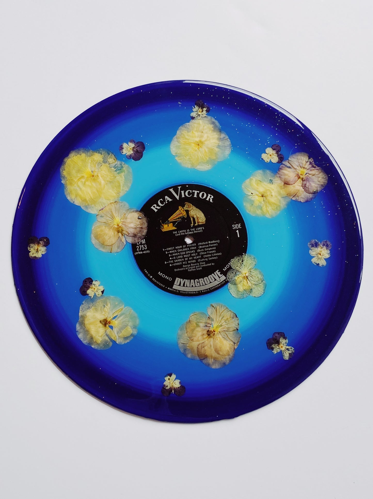 the garden of my heart