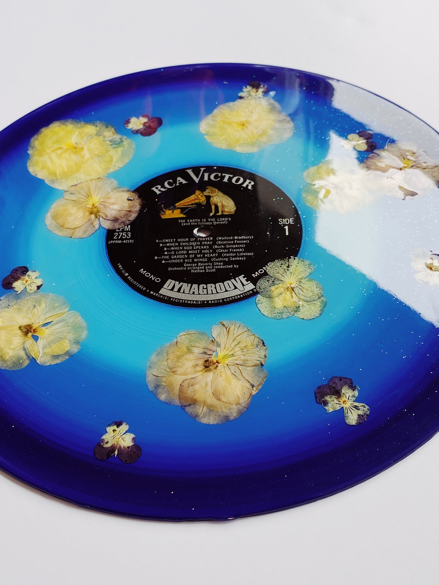 the garden of my heart