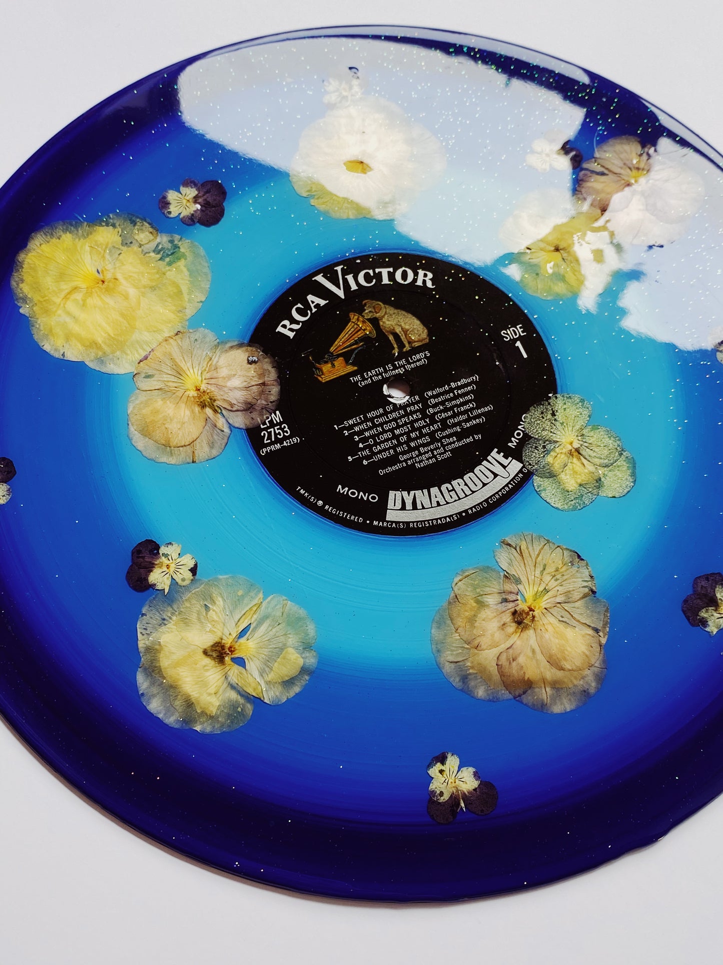 the garden of my heart